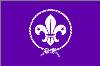 Scouts Guides (384Wx256H) - Scouts Guides 